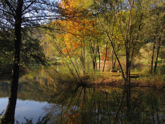 Promenade confort : Lac Saint-Clair