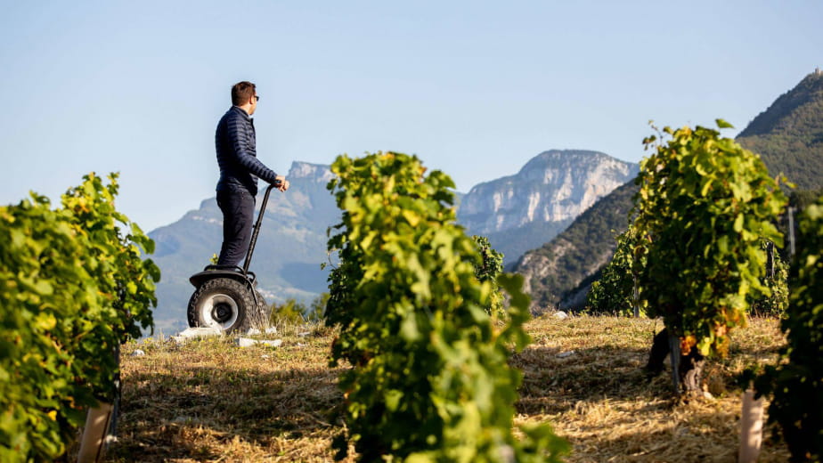 Homme en gyropode dans les vignobles