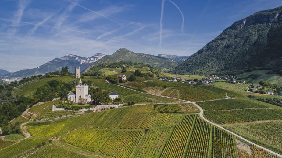 Domaine La Combe des Grand'Vignes