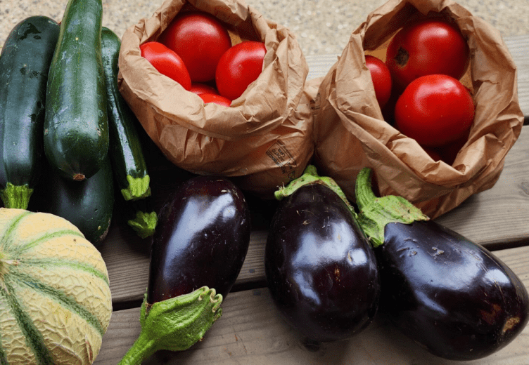 Marché d'Été Terre Solidaire