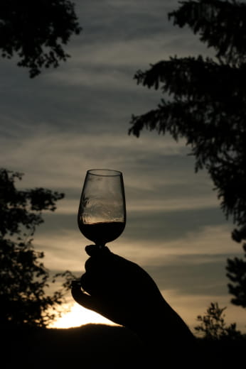 Atelier dégustation : Vins de Pentes