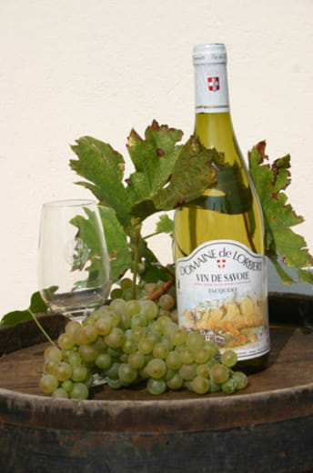 Caveau Domaine de Lorbert