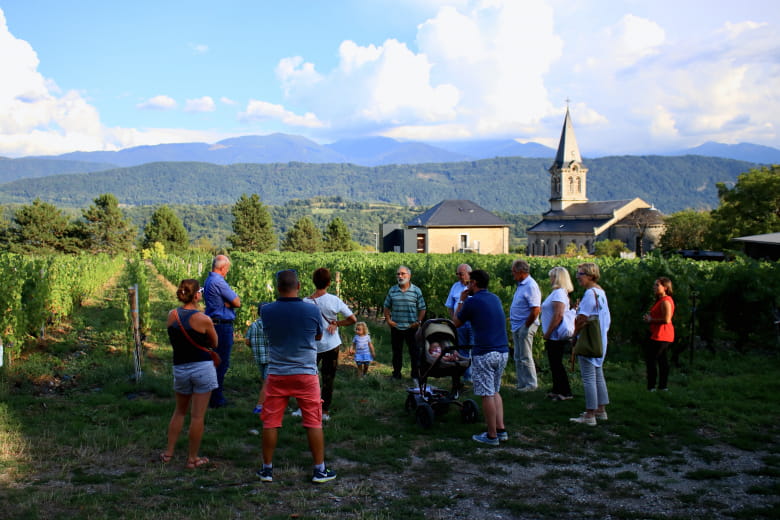 Dégustation de Vins de Savoie