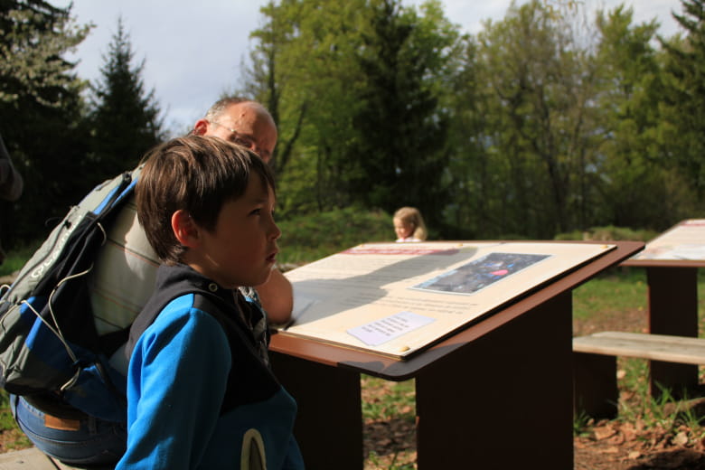 Ecole de l'archéologie