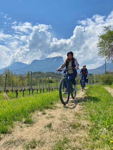 Découverte du vignoble des vins de Savoie