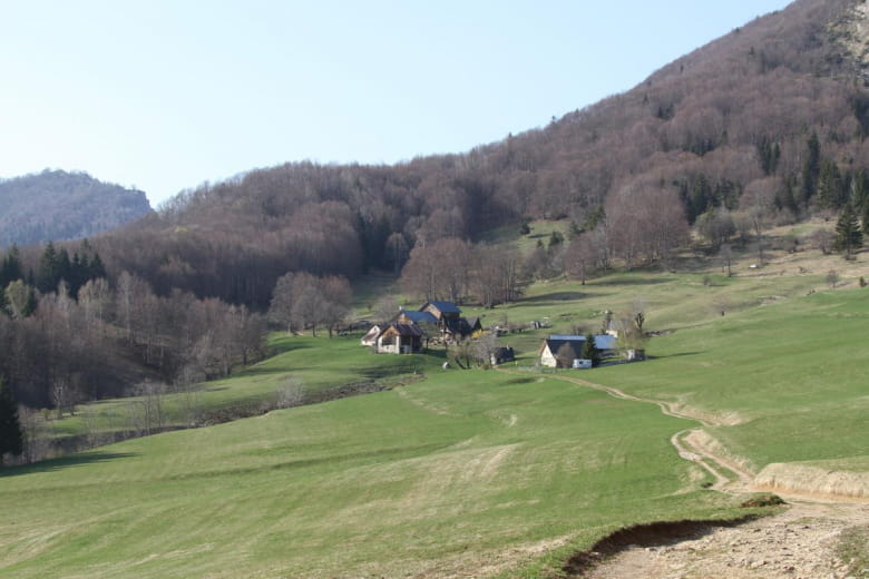 Balade en Chartreuse à 20 minutes du gite