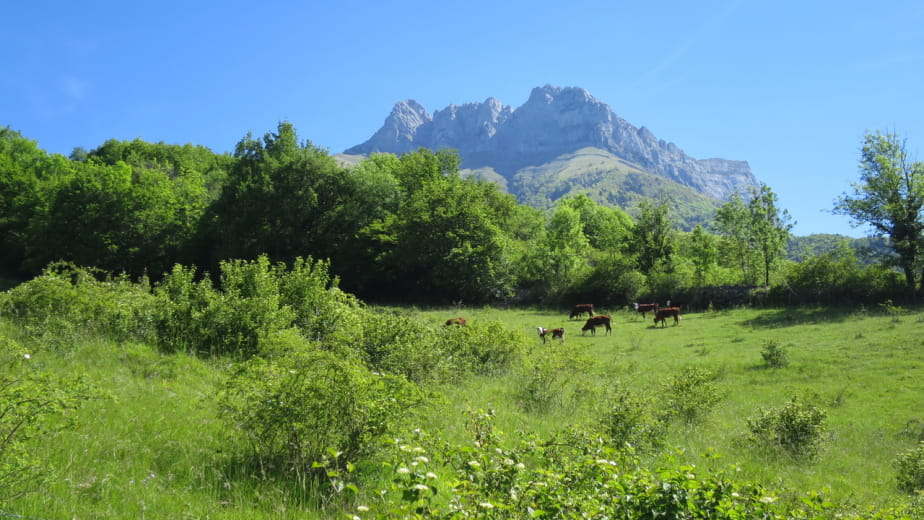 Sous l'Arclusaz