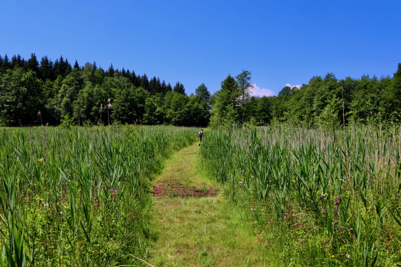 Marias du Pontet