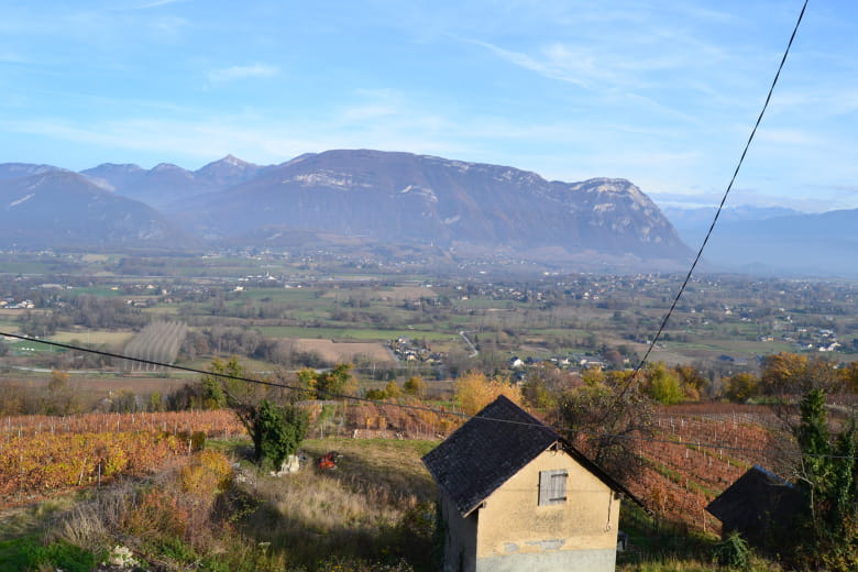 Gîte au cœur des vignes du Domaine Maréchal