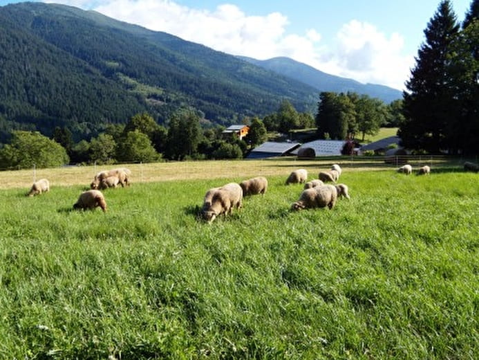 Ferme auberge du petit bois