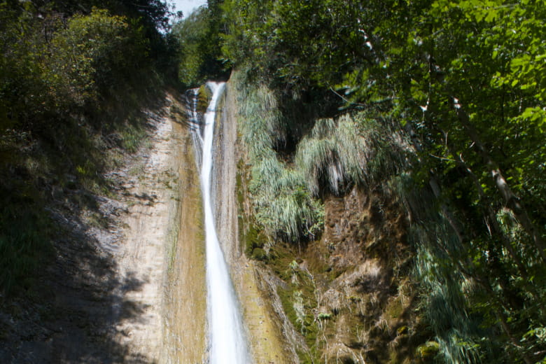 La vigne sous les Cascades