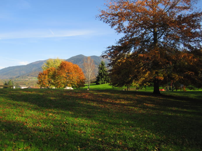 Promenade confort : Lac Saint-Clair