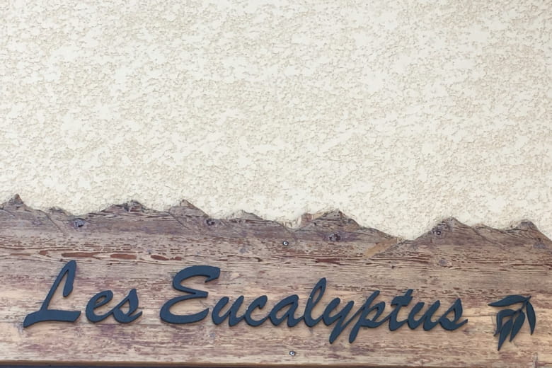 Les Eucalyptus  n°3