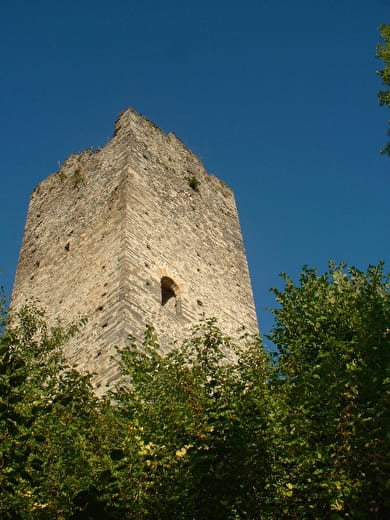 Tour de Montmayeur